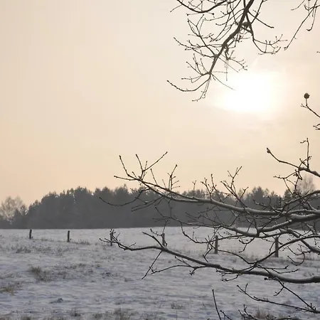 Ilse-bilse Holiday home *